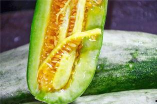 香港的网红吃瓜,揭秘娱乐圈最新“瓜田”风云