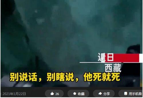 细思极恐的爆料视频大全